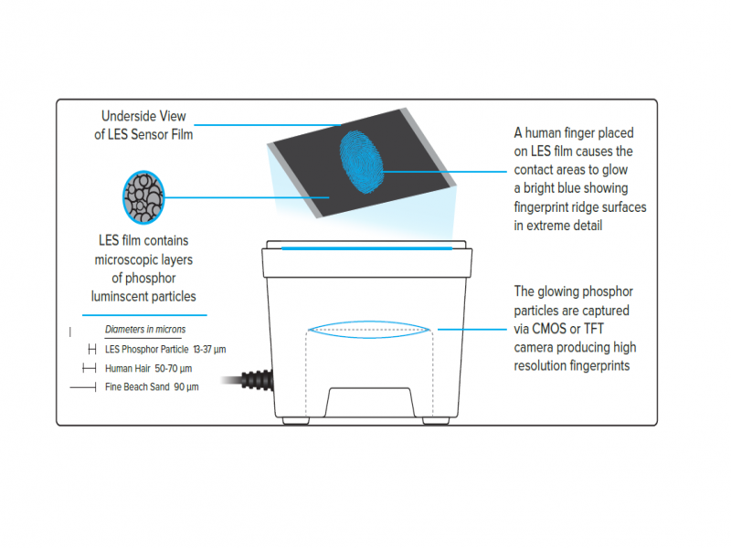 Ten-Print Roll Fingerprint Scanner